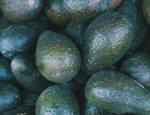 Effective cold rooms and packhouses for avocado export from Africa.